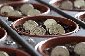 Coins in a plant pot