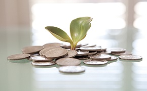 Abstract image of a plant shoot growing from money.